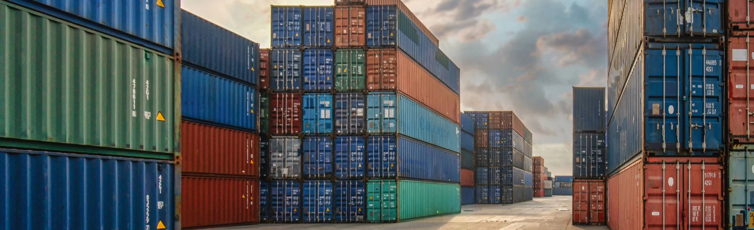 National Council on International Trade Development